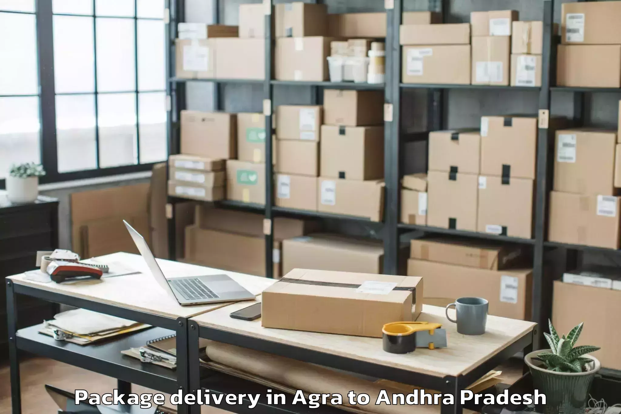 Professional Agra to Nidamanur Package Delivery